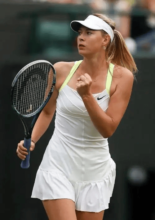 kaiyun体育手机端莎拉波娃赛事官方发布回归赛场新规，法国队争议不断！的简单介绍