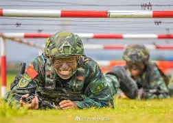 战术上勤奋战略上懒惰出处